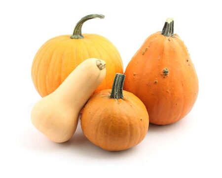Courges
