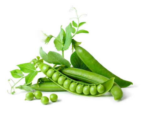 Petit pois Petit pois