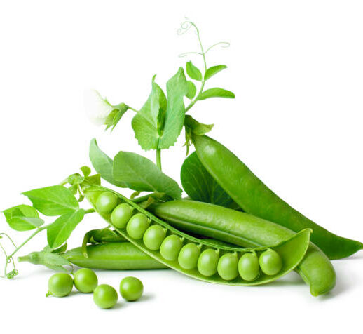 Petit pois