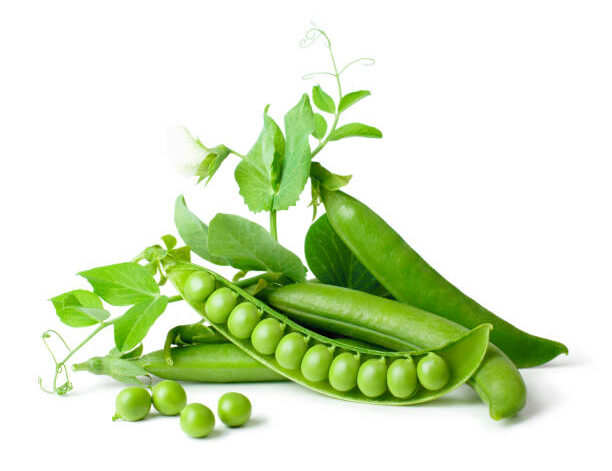 Petit pois