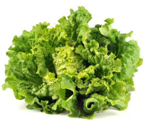 Salade